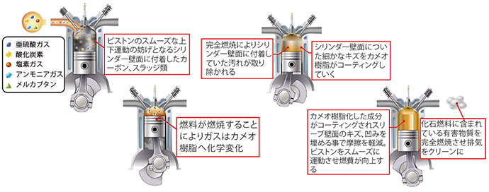 添加剤の効能と結果1